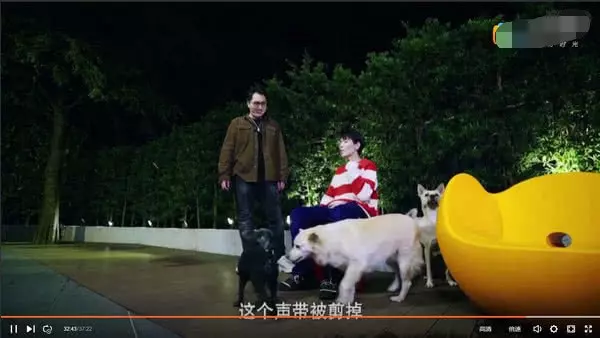 蕭敬騰8層豪宅成流浪狗樂園,遛狗不用出門,請專業獸醫隨時治療