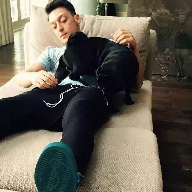 據說每一個世界盃球員背後,都有一隻狗