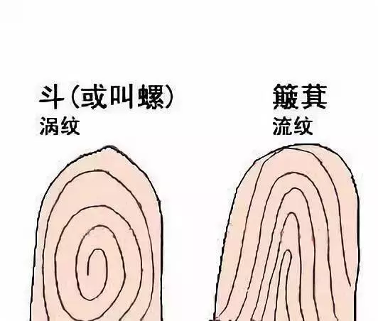 你手上有多少個螺,決定你的性格太准了