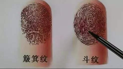 你手上有多少個螺,決定你的性格太准了