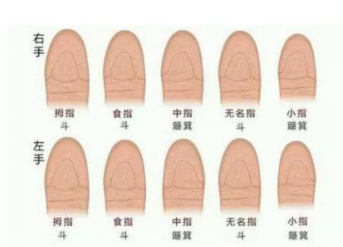 你手上有多少個螺,決定你的性格太准了