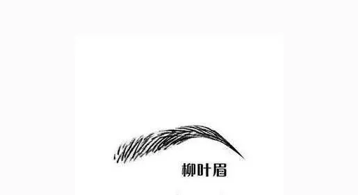 【從眉毛看命運】你有什麼樣的眉毛,就有什麼樣的命運