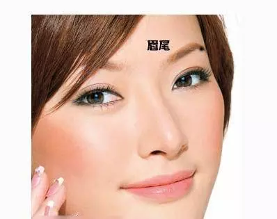 【從眉毛看命運】你有什麼樣的眉毛,就有什麼樣的命運