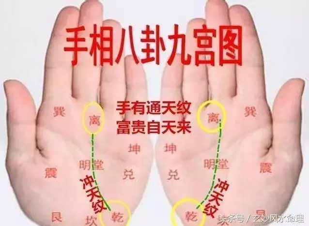 傳統手相:手有「通天紋」,富貴自天來,擋也擋不住