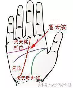 傳統手相:手有「通天紋」,富貴自天來,擋也擋不住