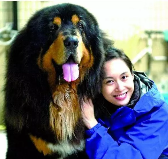 46歲朱茵全家近照,黃貫中寵了她20年,小女兒實在太可愛了啊