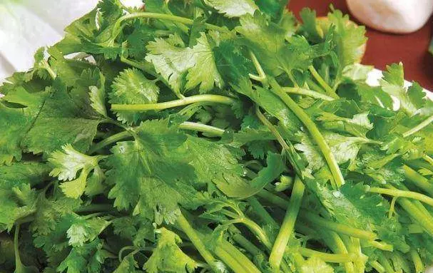 7月到8月,醫生都在吃的這種菜,從上市吃到下市,全家人都需要