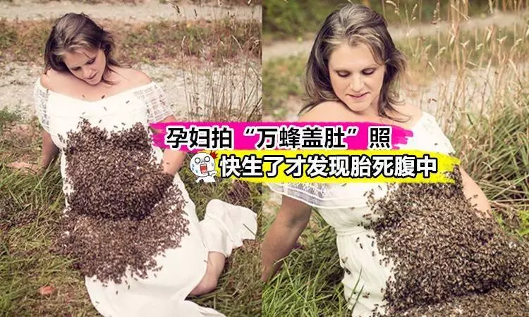 悲劇了 ~ 孕婦拍"蜜蜂蓋肚"照 快生了才發現胎死腹中