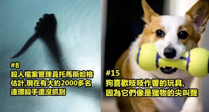 21個你不知道更好的驚悚冷知識~~~有些冷知識看了或許會覺得很噁心,也可能會覺得很可怕