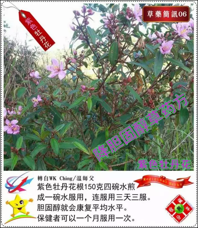 30種草藥簡訊!!必要收藏起來!!!