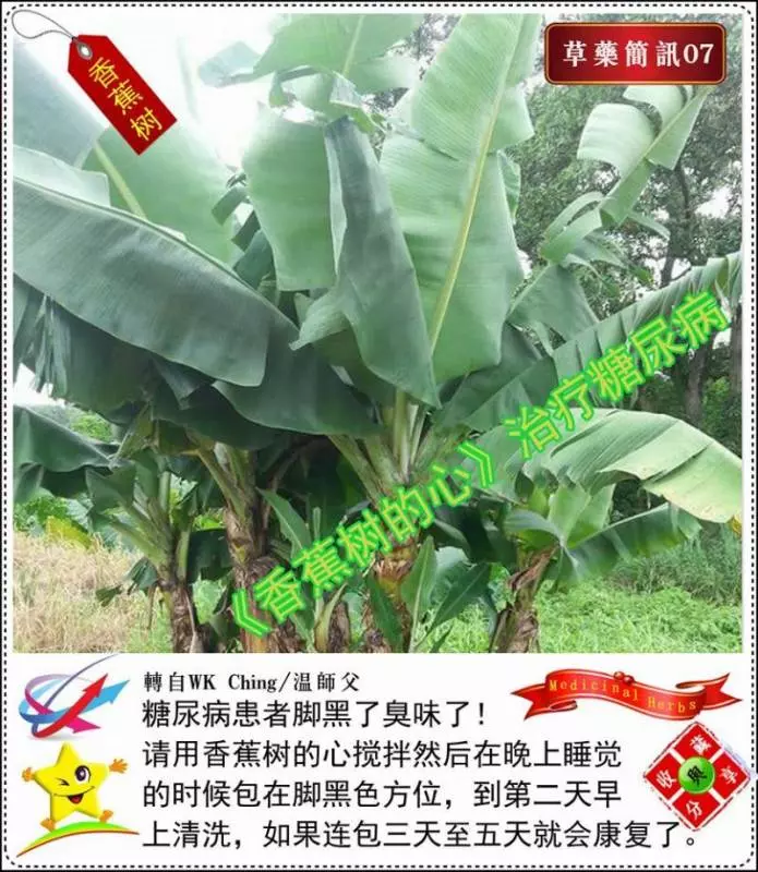 30種草藥簡訊!!必要收藏起來!!!