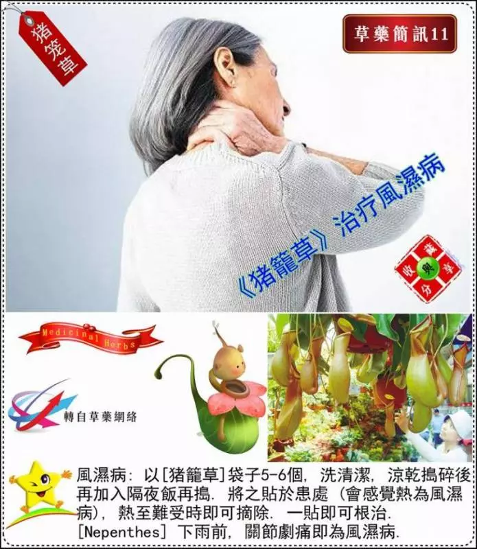 30種草藥簡訊!!必要收藏起來!!!