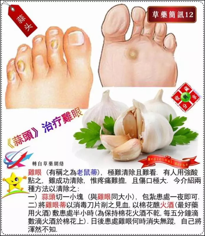 30種草藥簡訊!!必要收藏起來!!!