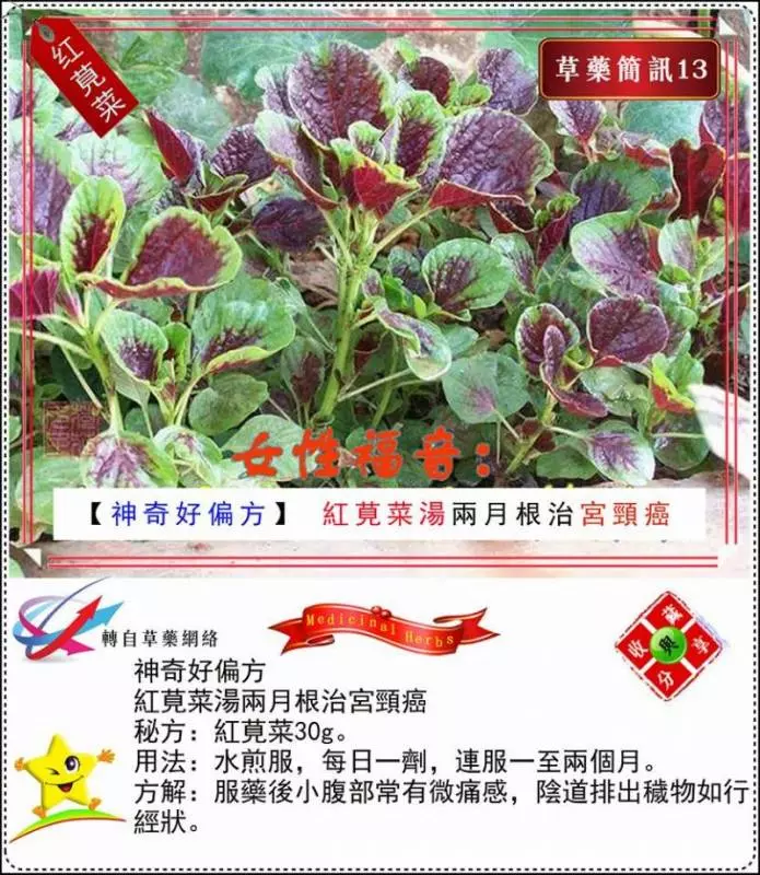 30種草藥簡訊!!必要收藏起來!!!