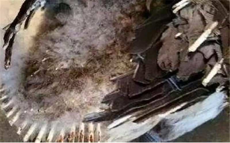 鵝羽毛被燒焦卻坐在地上一動不動,啥情況