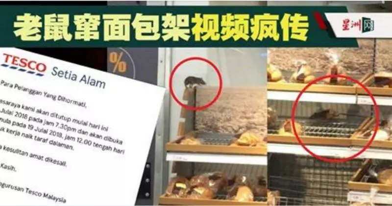 老鼠竄麵包架視頻瘋傳實達阿南tesco暫關閉