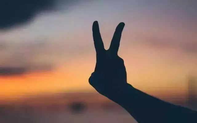 沒有人是真的傻,只是「裝傻」而已