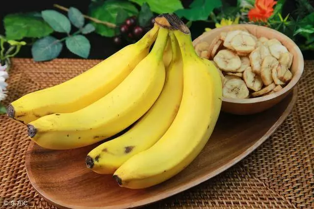 狗狗除了吃狗糧,這6種常見食物也能吃!