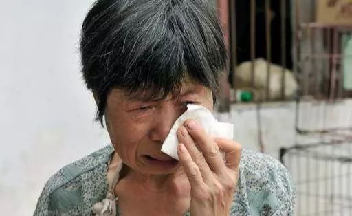 八年前走丟的狗,自己找回主人身邊,牠一輩子都在找回家的路!
