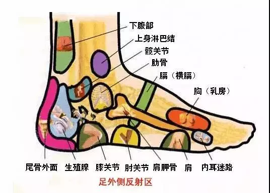 身體五臟六腑在腳上都有對應點,身體有不舒服,在腳上都有所反應
