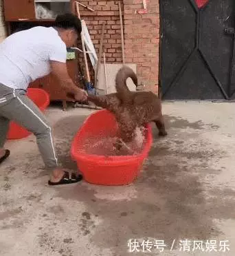妹子妳當街整理自己的短裙,看錯的人還以為妳要幹什麼 -
