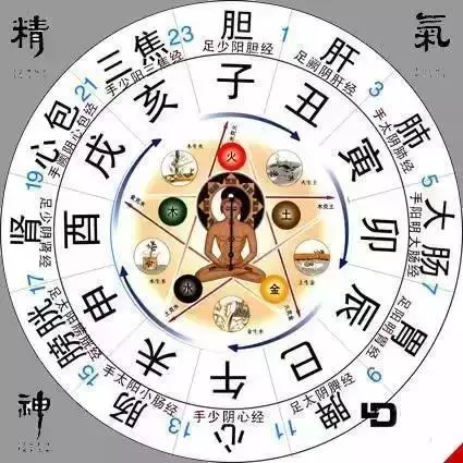 總說不清楚經絡是什麼?看完這篇你就明白了