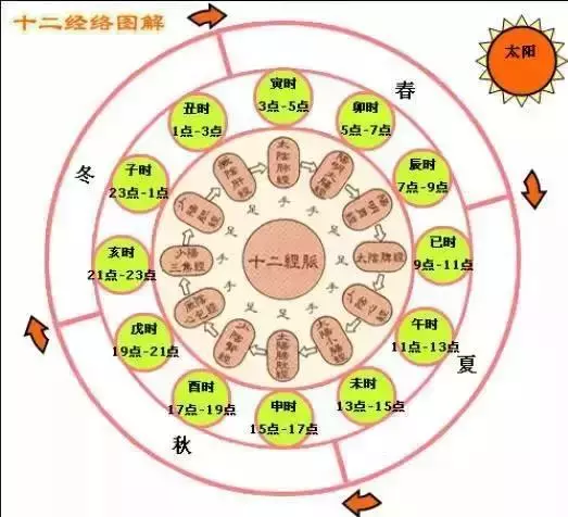 總說不清楚經絡是什麼?看完這篇你就明白了