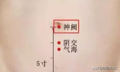 老中醫:胖補氣,瘦補血,對症下藥才最好!