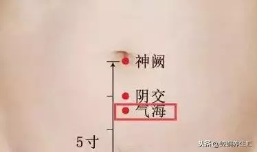 老中醫:胖補氣,瘦補血,對症下藥才最好!