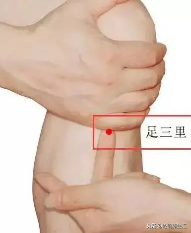 老中醫:胖補氣,瘦補血,對症下藥才最好!