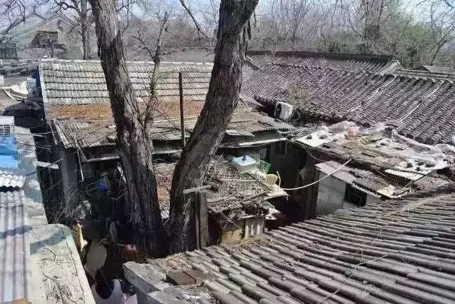 【你絕對會傻眼】馬桶就在廚房內神手改造百年10坪破屋 變身「現代寬敞豪宅」屋主一家全看傻