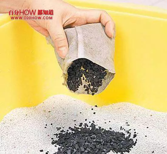 非常實用! 簡單幾步驟去除家裡寵物尿騷味!