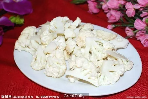 90%的人都躺槍,狗狗絕對不能吃的蔬菜非看不可