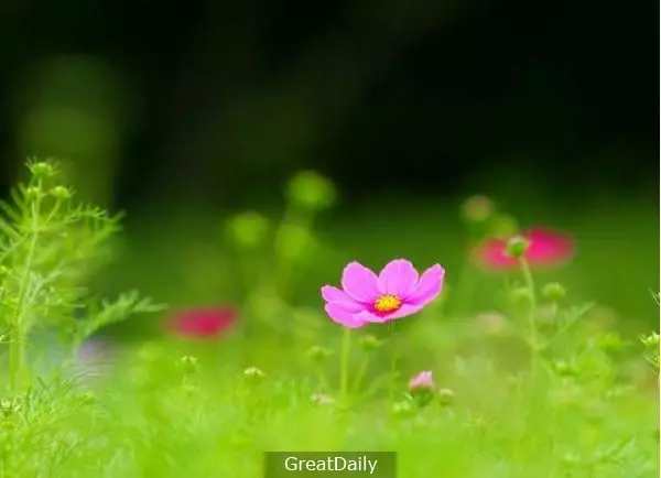 孫子到山上抓了一隻老鼠給瞎了眼的奶奶吃!多年後奶奶過世時,孫子嘴角竟然露出一絲笑容冷靜的說。。。