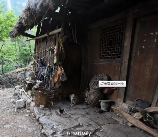 孫子到山上抓了一隻老鼠給瞎了眼的奶奶吃!多年後奶奶過世時,孫子嘴角竟然露出一絲笑容冷靜的說。。。