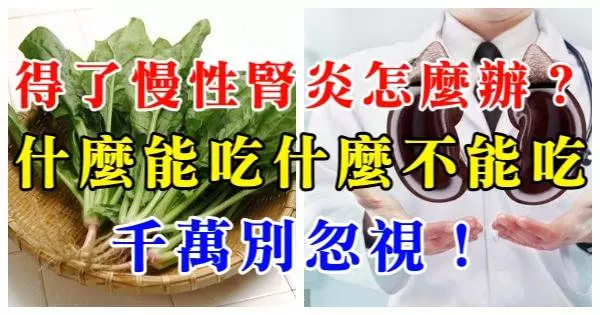 得了慢性腎炎怎麼辦:什麼能吃什麼不能吃,千萬別忽視