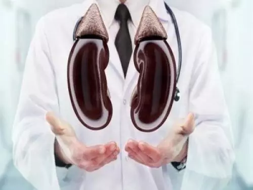 得了慢性腎炎怎麼辦:什麼能吃什麼不能吃,千萬別忽視