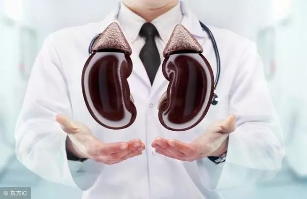 得了慢性腎炎怎麼辦:什麼能吃什麼不能吃,千萬別忽視