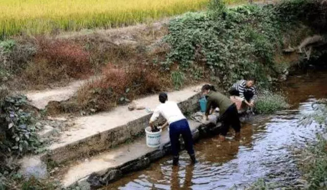 非親爸把兒子拉扯大,兒成大老闆回鄉,看到爸爸哭出了聲
