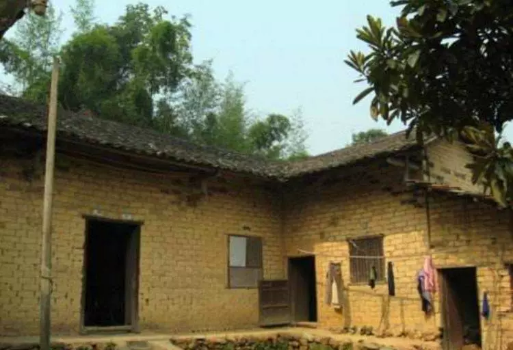 為了供弟弟讀書,姐嫁給窮漢,妹嫁給傻子,8年後一排豪車開進村,兄妹三人抱頭痛哭