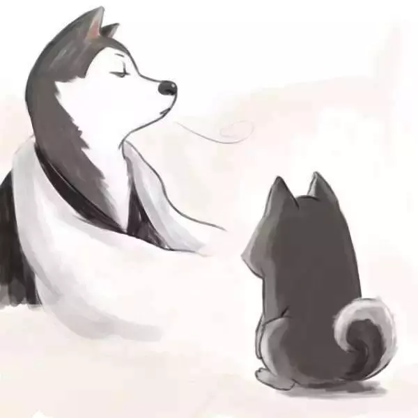 獸醫一定要告訴你的十個秘密,飼主不懂倒楣的是狗狗!