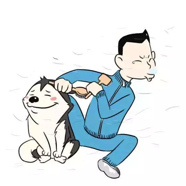獸醫一定要告訴你的十個秘密,飼主不懂倒楣的是狗狗!