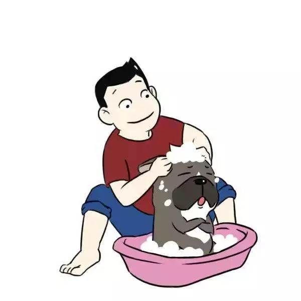 獸醫一定要告訴你的十個秘密,飼主不懂倒楣的是狗狗!