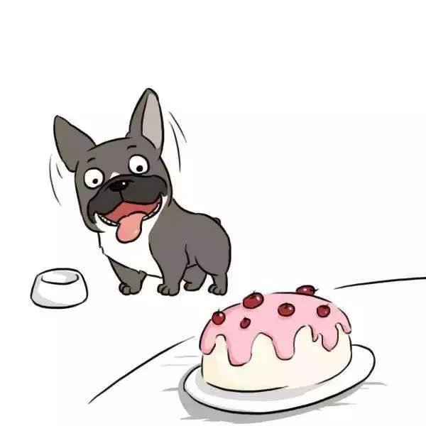 獸醫一定要告訴你的十個秘密,飼主不懂倒楣的是狗狗!