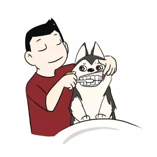 獸醫一定要告訴你的十個秘密,飼主不懂倒楣的是狗狗!