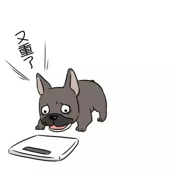獸醫一定要告訴你的十個秘密,飼主不懂倒楣的是狗狗!