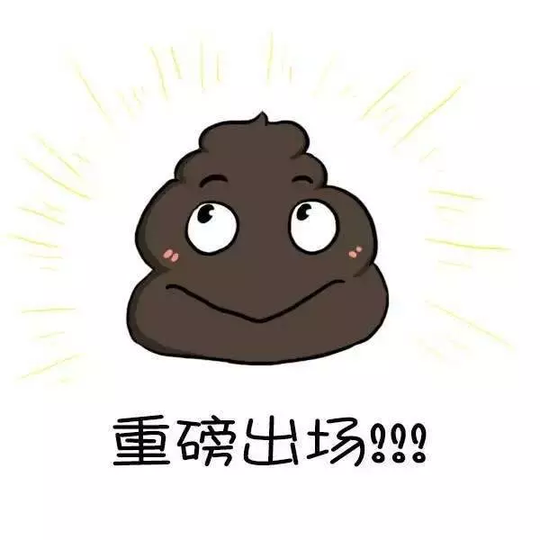 獸醫一定要告訴你的十個秘密,飼主不懂倒楣的是狗狗!