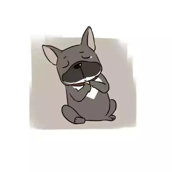 獸醫一定要告訴你的十個秘密,飼主不懂倒楣的是狗狗!