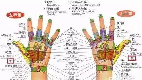 大肚子不用愁,每天甩手5分鐘,瘦腰瘦肚子,還能強心臟、緩解關節疼痛