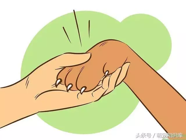 學會這六招撫摸狗狗,你家狗狗一定會超愛你!